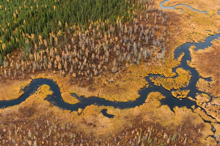canada peatland