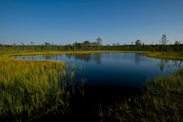 core values core values