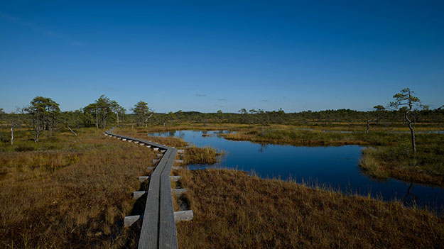 partnerships partnerships